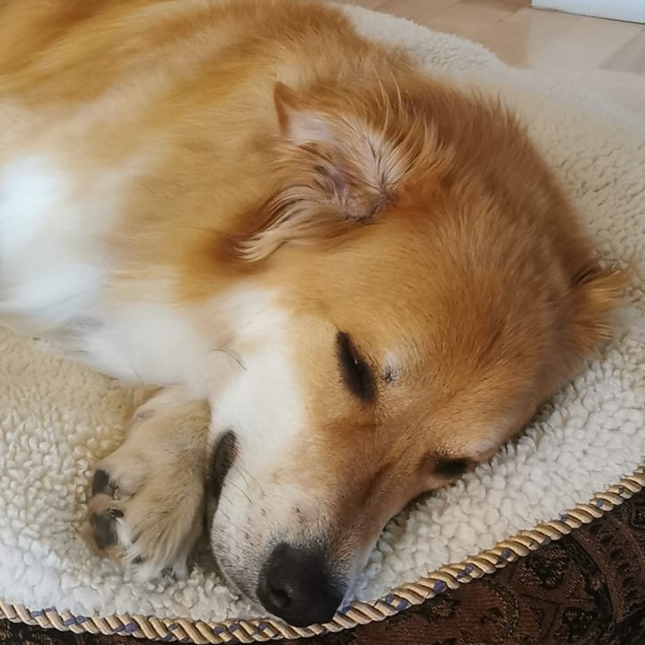 Ben