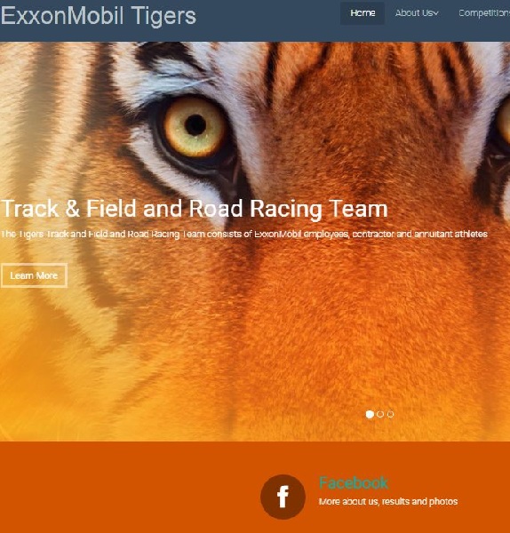 ExxonMobil Tigers